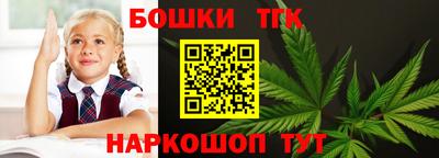 индика Гусь-Хрустальный