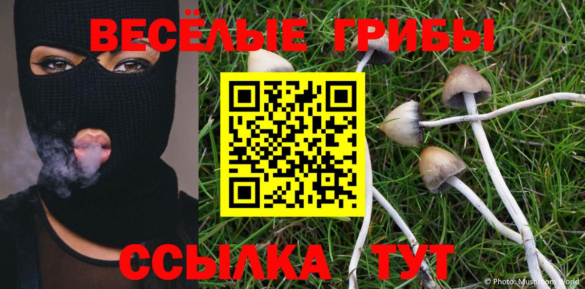 Псилоцибиновые грибы Cubensis Ревда