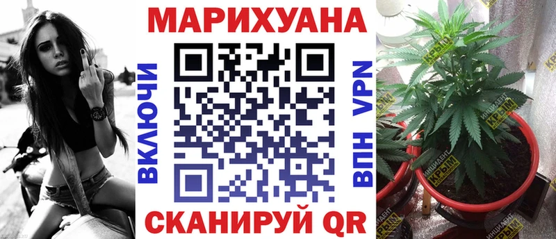 Бошки Шишки MAZAR  где найти   дарк нет как зайти  Ревда 